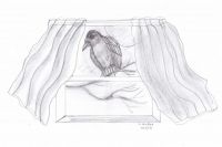 Winged messenger